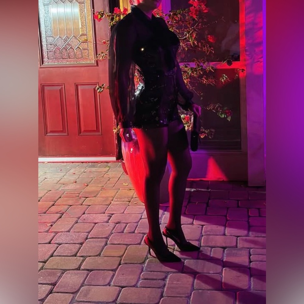 Bardot Black Sheer Dress